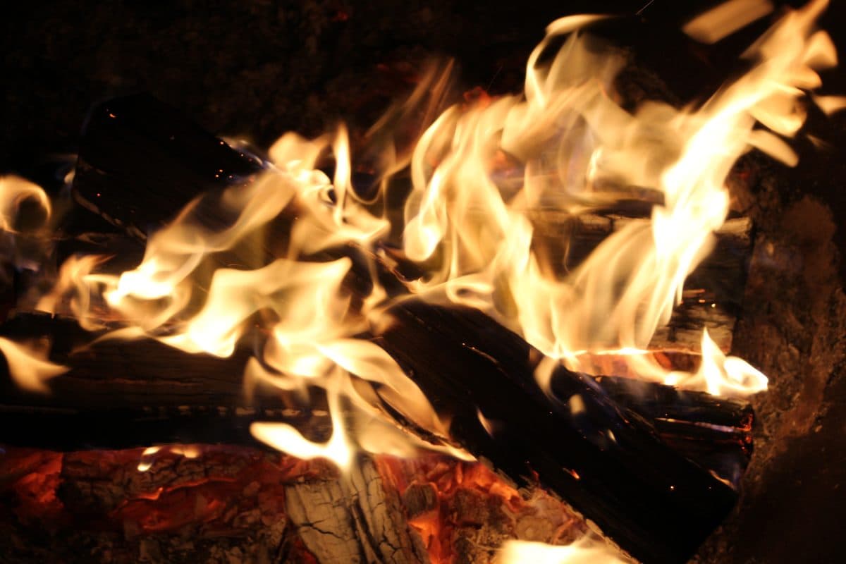 Campfire at Farm Daze